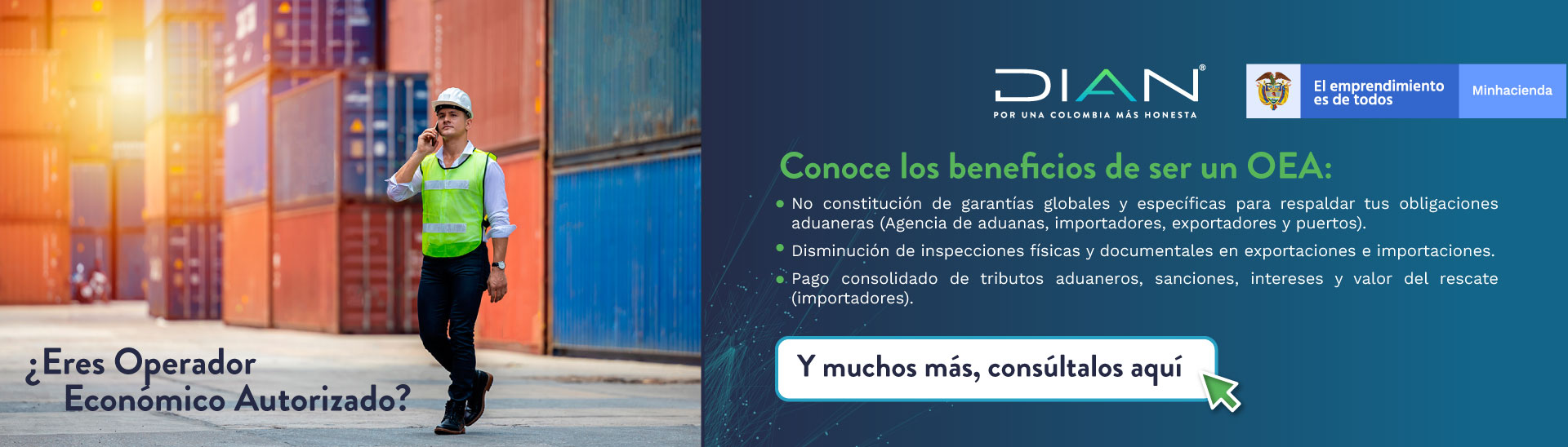 Portal Dian Inicio